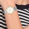 Montre femme Tommy Hilfiger Pippa réf. 1782667, mouvement quartz, acier inoxydable – vue principale, Horlova Maroc